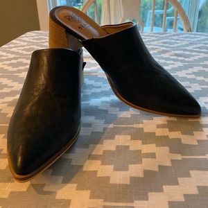 Beast Fashion Mule in Black. Size 7.5